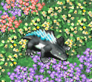 屏幕截图2025-05-15012936.png